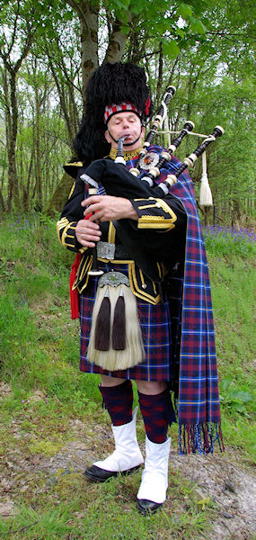 Highland Titles Tartan